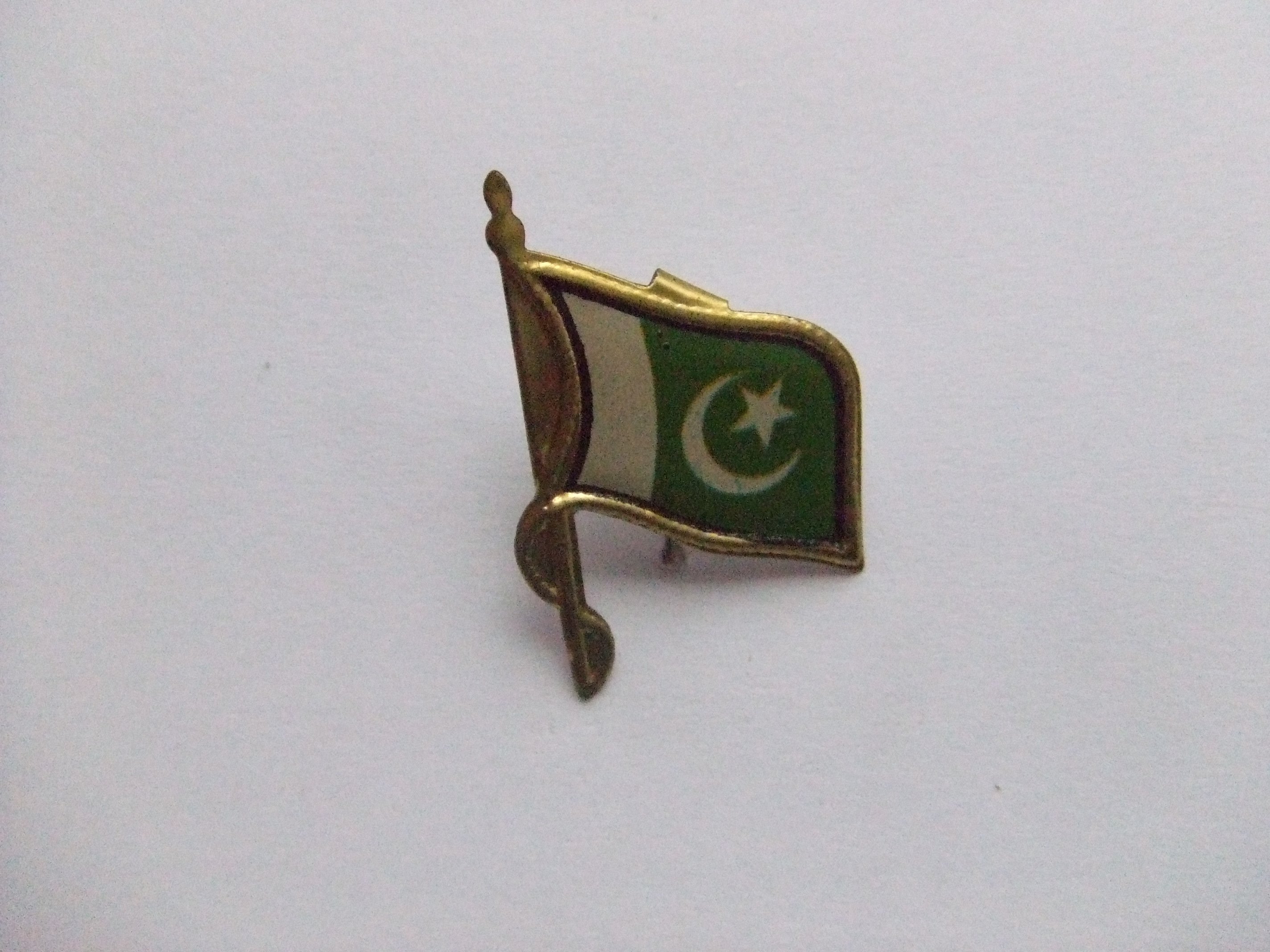 Vlag van Pakistan (2)